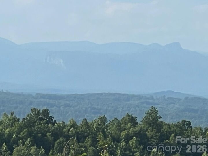Property Photo: 253 Falls Creek Drive NC 28761