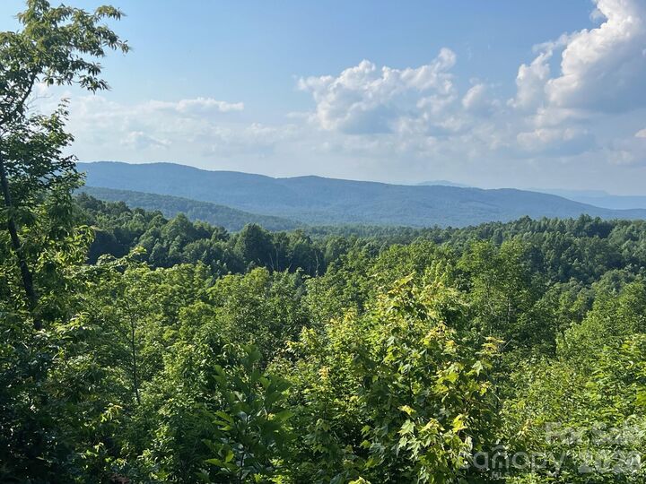 Property Photo: 253 Falls Creek Drive NC 28761