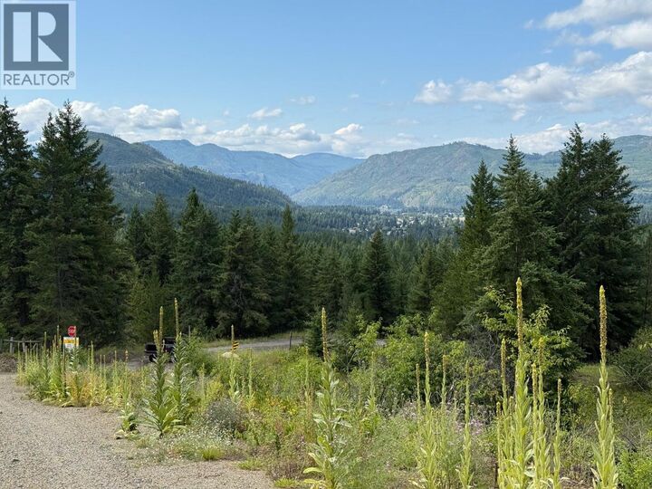 Property Photo:  Lot 2 Gordon Creek Road  BC V0E 1E0 