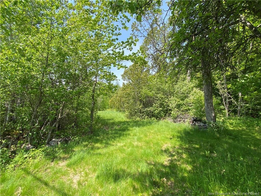Property Photo:  Lot Route 134  NB E4P 3G9 