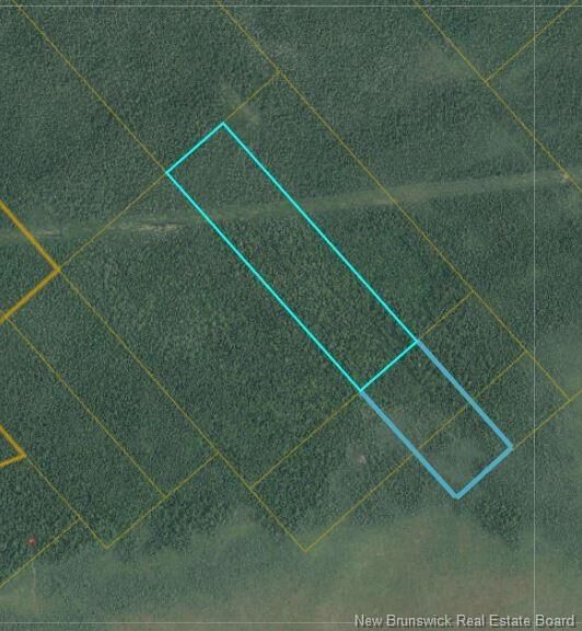 31 Acres Off Dunphy Road — photo 1