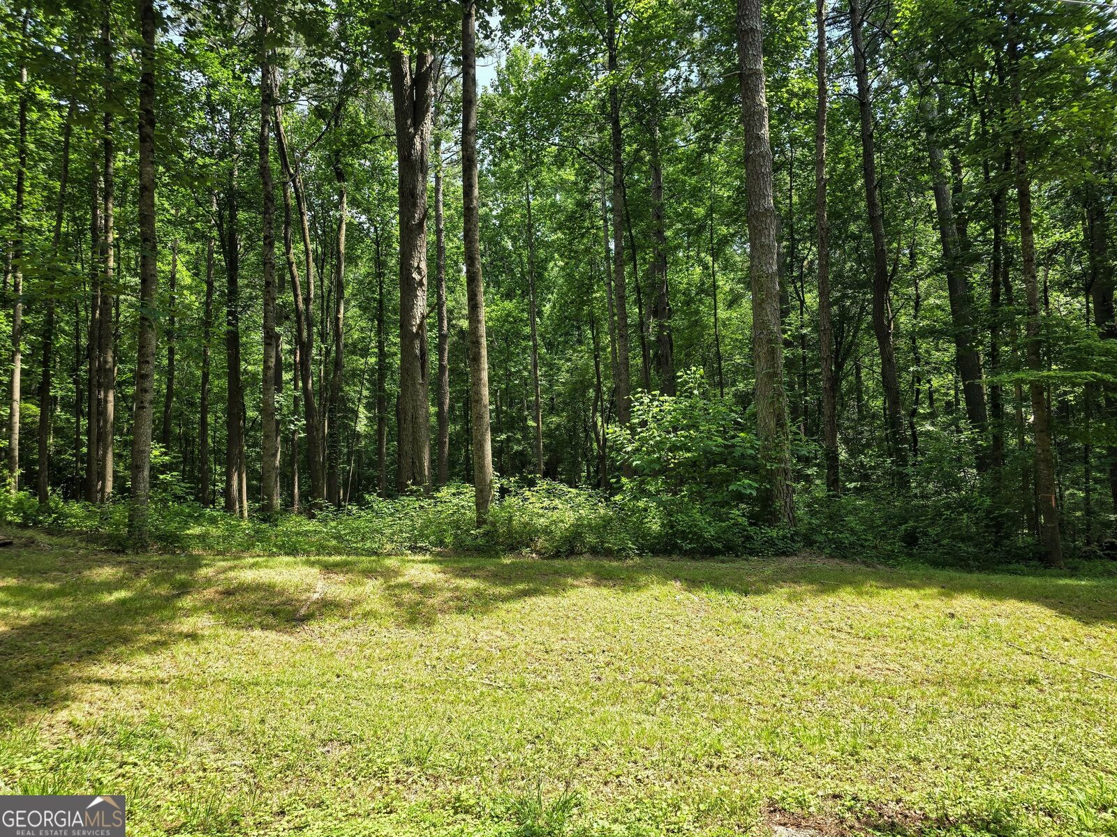 Property Photo:  5 Lots Rome St. &Amp Driver St.  GA 30179 