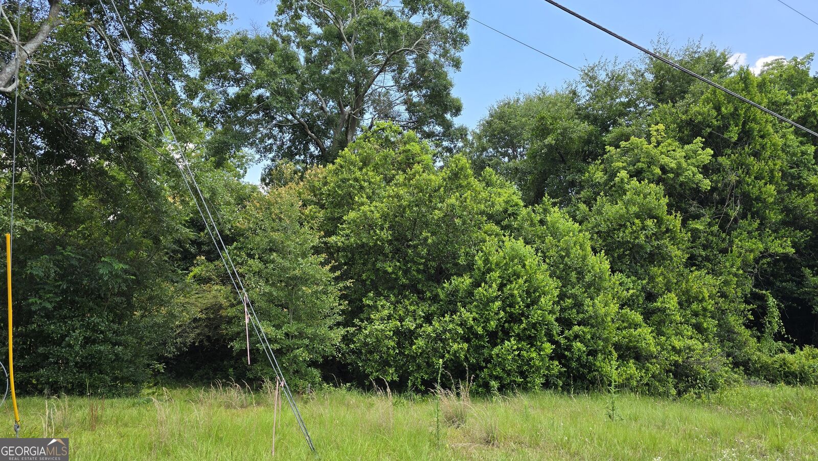 Property Photo: 3328 Rice Mill Road GA 31206