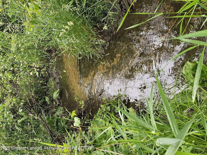 Property Photo:  14540 S Wacousta Road  MI 48837 