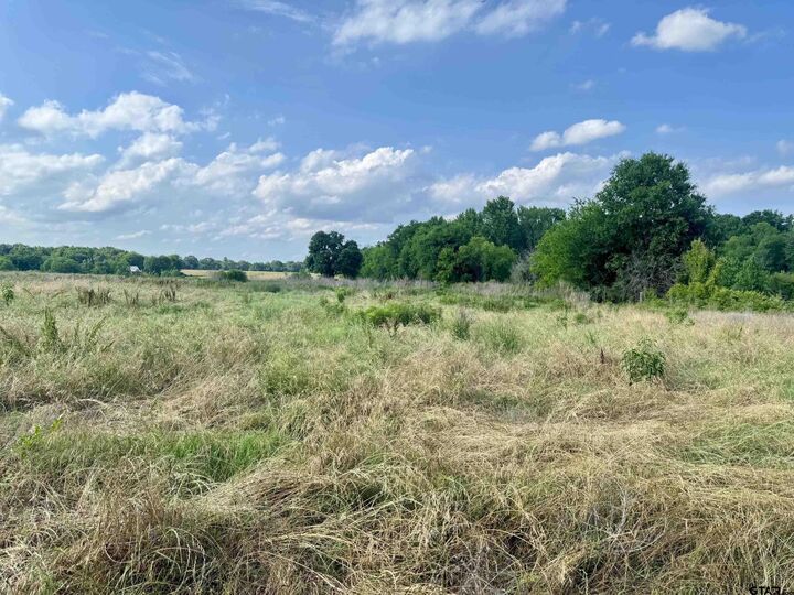 Property Photo: Tbd Fm 2659 TX 75755