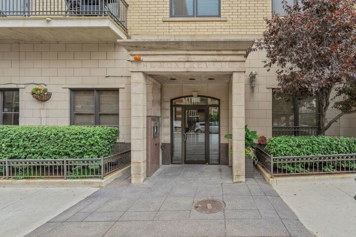 Property Photo: 520 N Halsted Street 315 IL 60642
