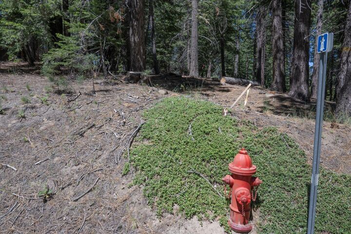 Property Photo: 1876 Elks Club Drive CA 96150