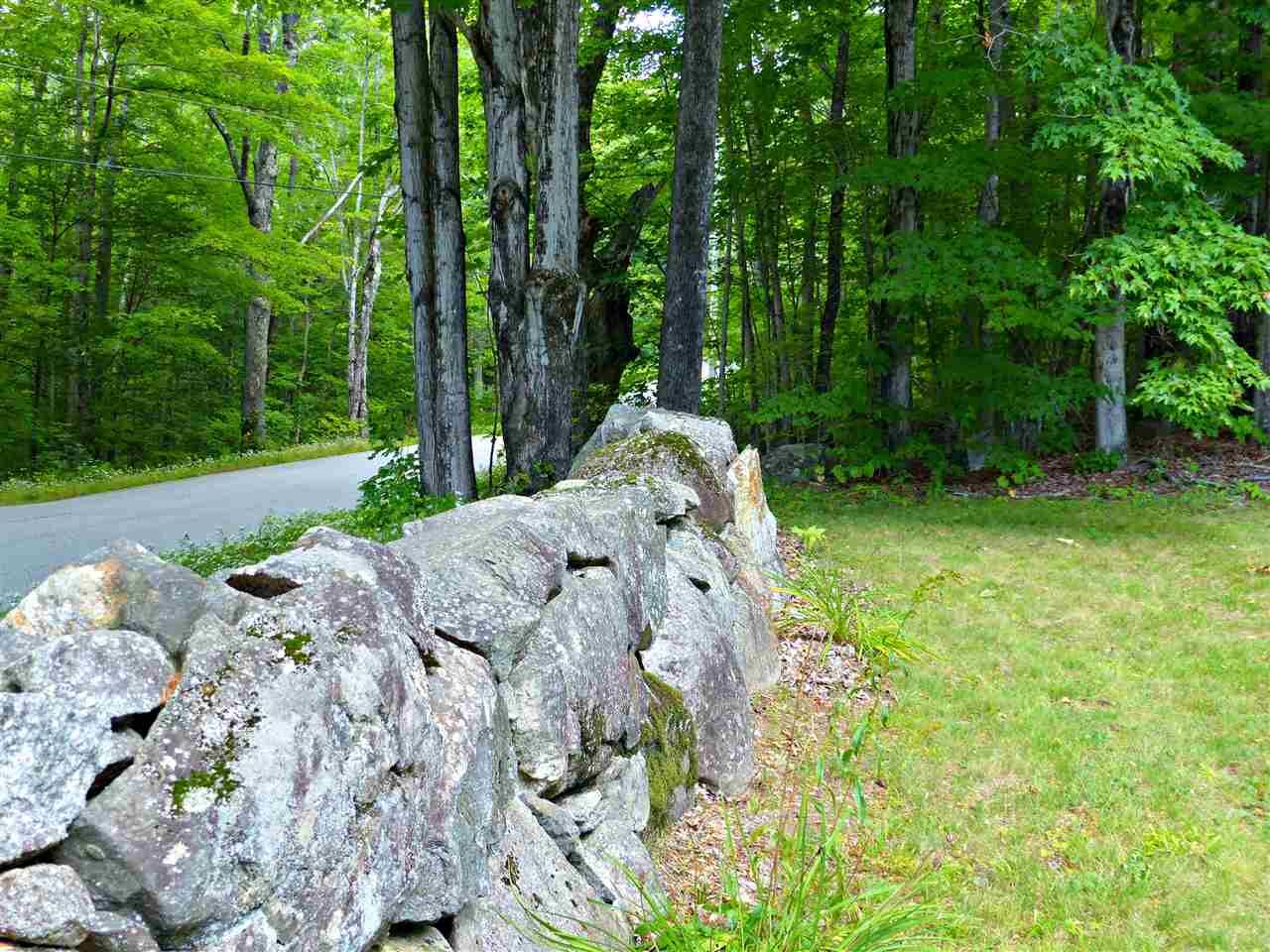 Property Photo: 163 Maple Ridge Road NH 03259