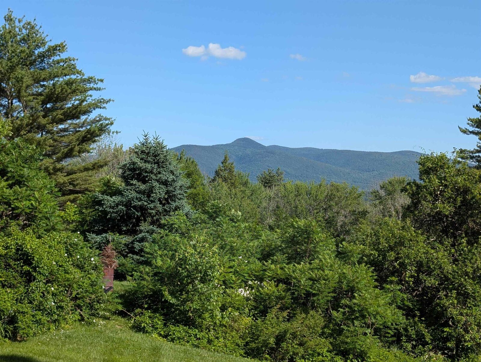 Property Photo: 163 Maple Ridge Road NH 03259