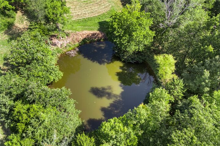 Property Photo: Tbd May Pop Lane AR 72650