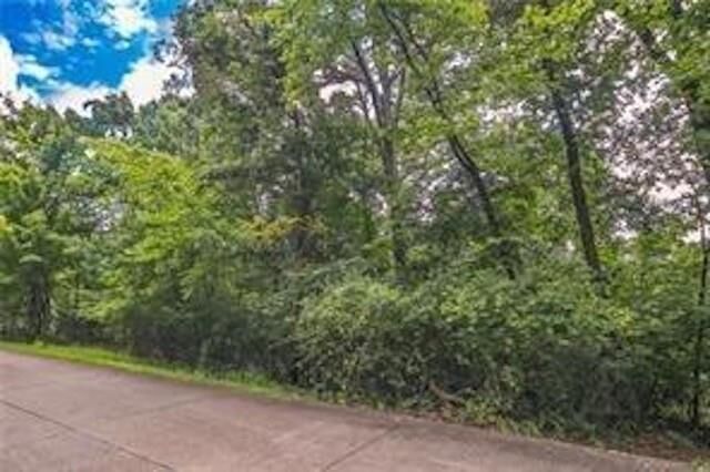 Property Photo: 84 S Kestrel Drive AR 72703