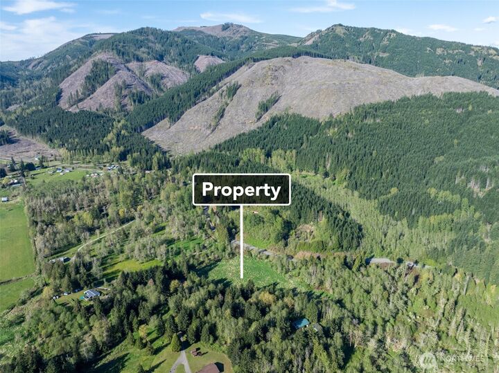 Property Photo: 0 Davis Lake Road WA 98356