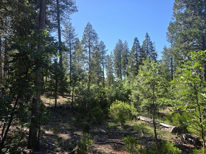 Property Photo:  Lot 5 Waterleaf Lane  CA 96088 