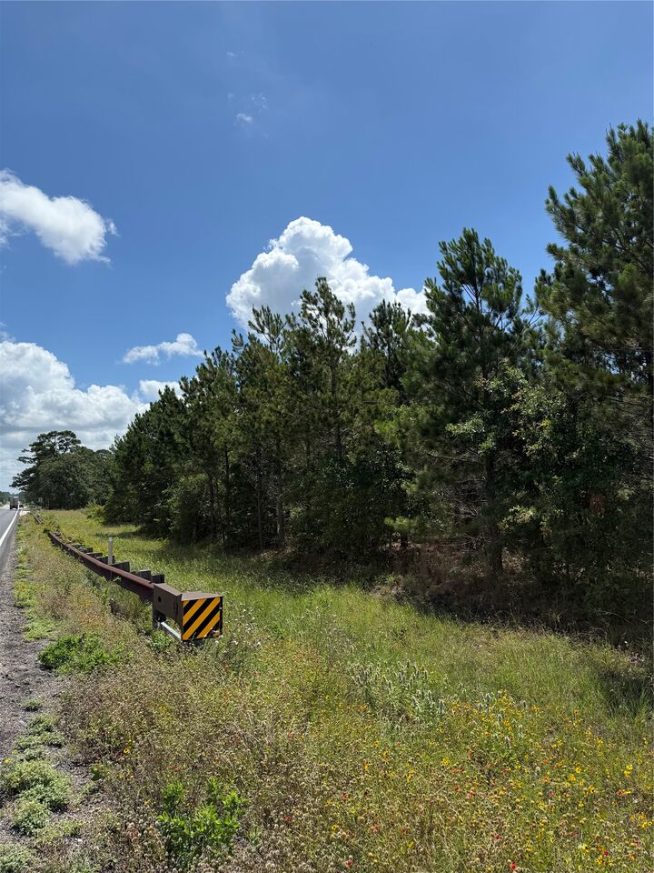 Property Photo: 000 Hwy 21 E Highway TX 78659