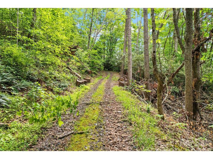 Property Photo:  000-000 Bee Branch Road 14ac  NC 28705 