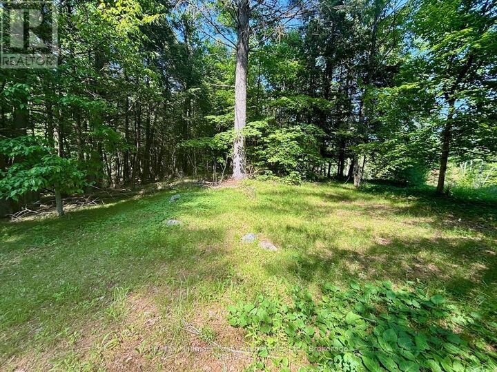 Property Photo:  2495 Flinton Road  ON K0H 1P0 