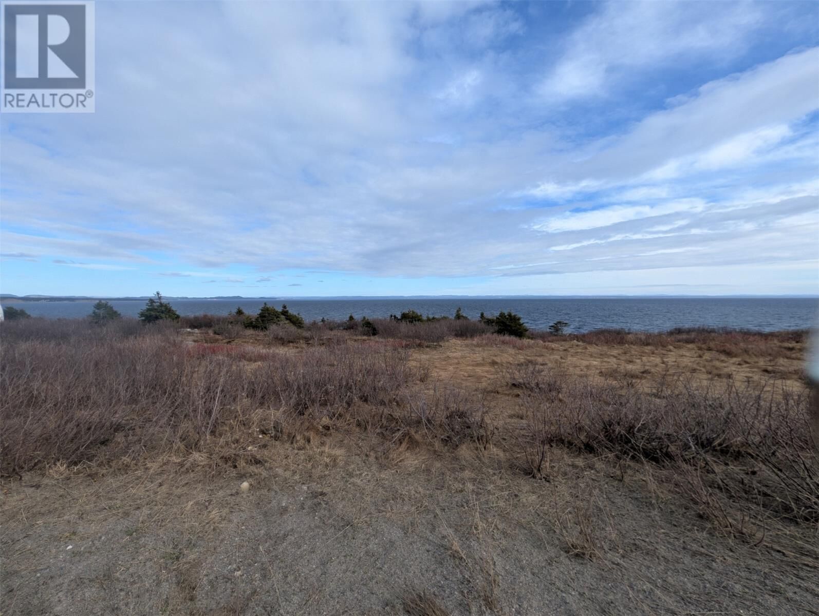 Property Photo:  137 Front Road  NL A0N 1A0 