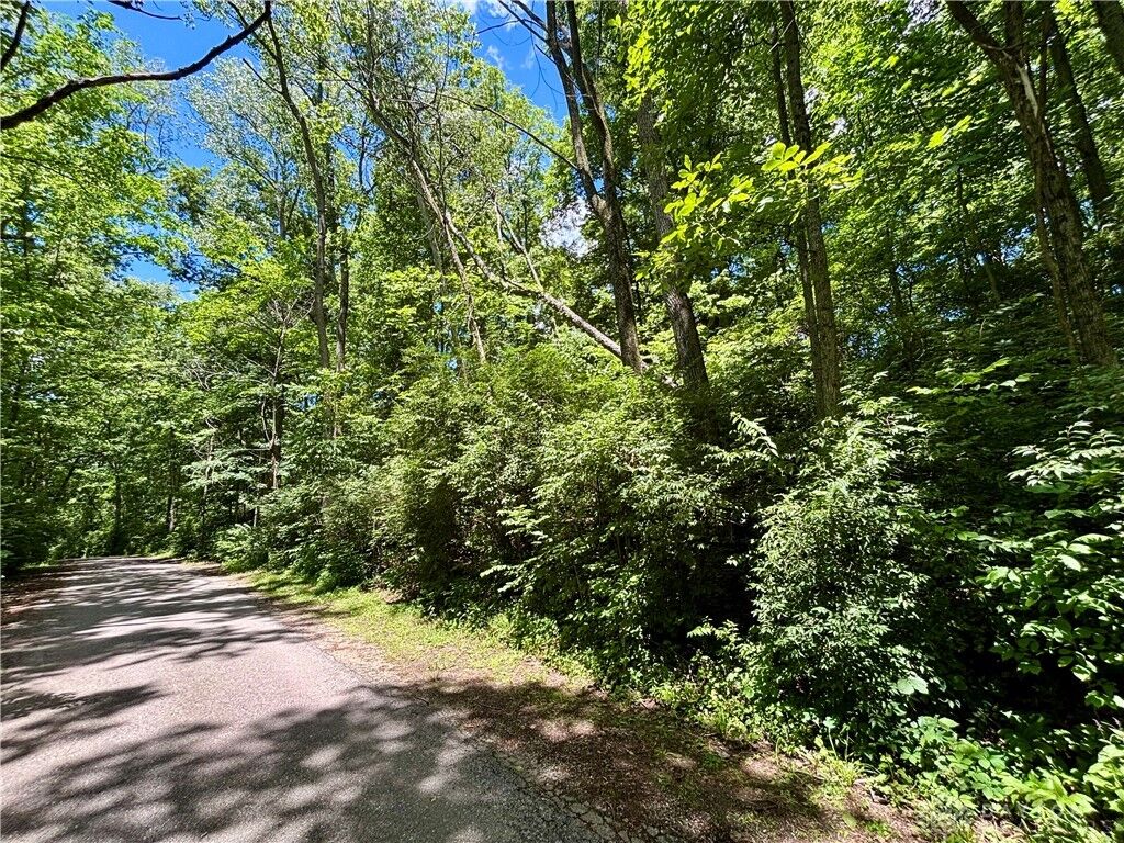 Property Photo:  0 W Evergreen Drive  OH 45331 