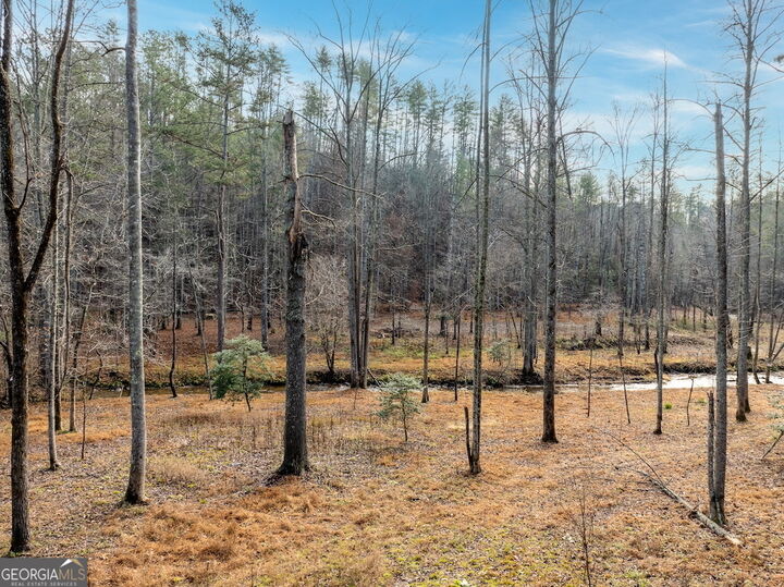 Property Photo:  780 Banks Road  GA 30540 