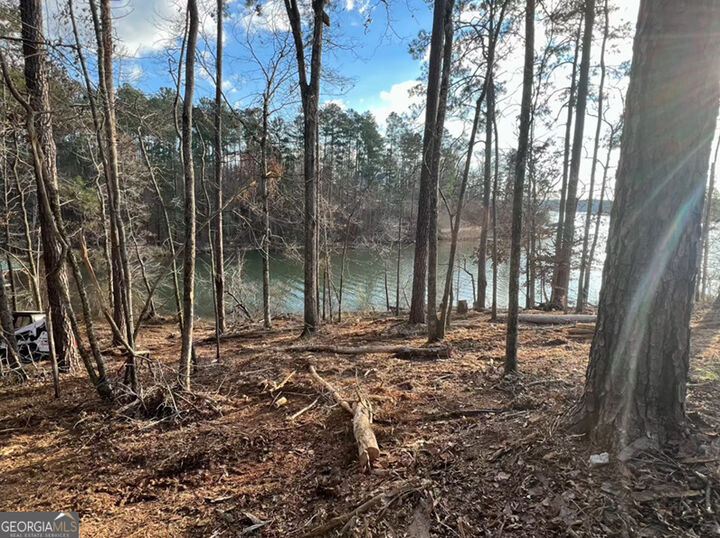 Property Photo: 23 Post Oak Ridge GA 31087