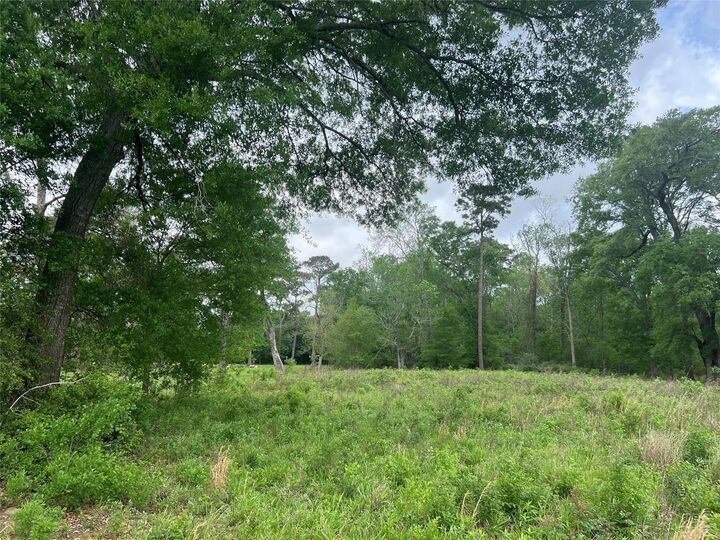 Property Photo: 000 N Mlk Drive TX 77575