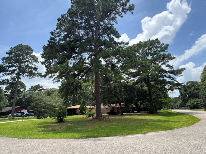 Property Photo: 30819 Meadow Wood Drive TX 77354