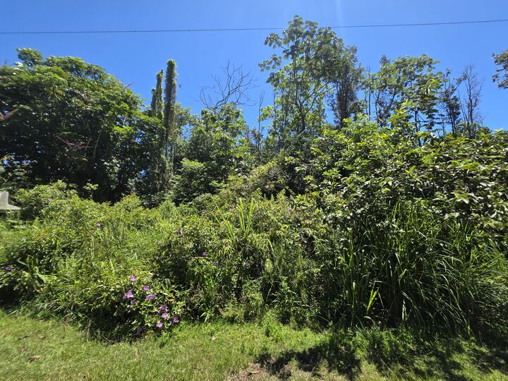 Property Photo: Kumu St HI 96778