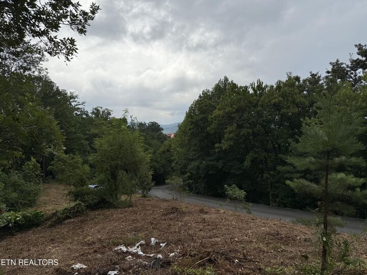 Property Photo: Lot 108 Smoky Vista Way TN 37876