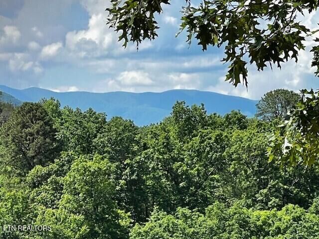 Property Photo:  3328 Sugar Maple Loop Rd  TN 37862 