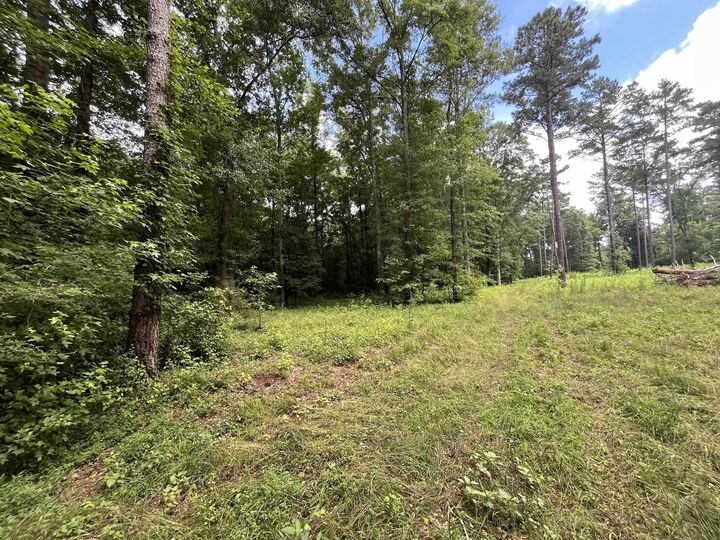 Property Photo:  20 +/- Ac Crooked Creek Road  GA 31024 