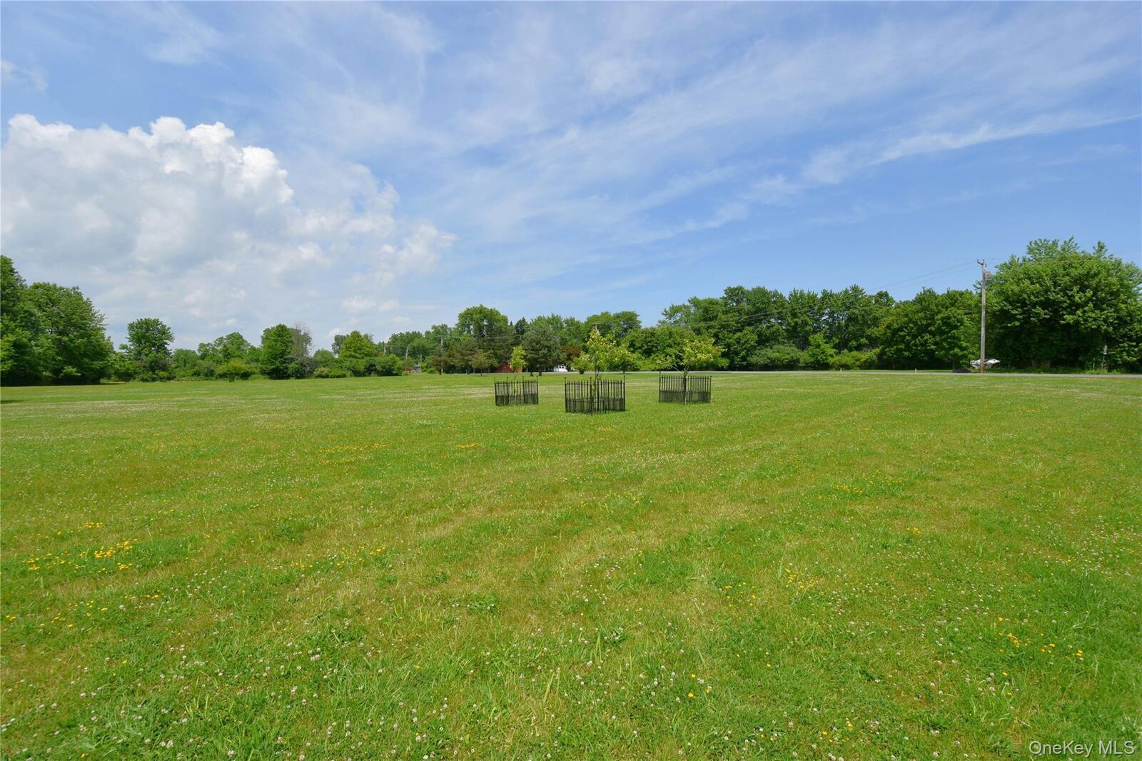 Property Photo: 21 Stacey Road NY 12051