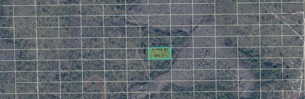 Property Photo:  Dill Road  FL 32820 