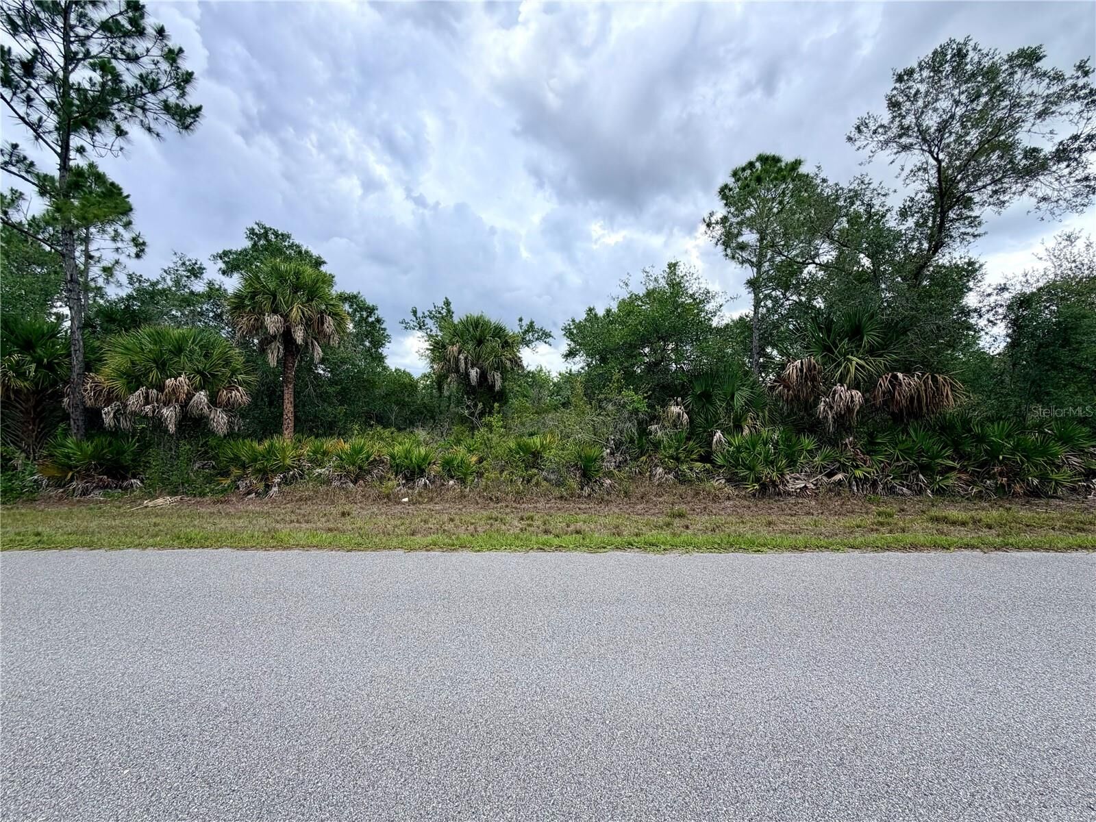 Property Photo:  13334 Gold Avenue  FL 33953 