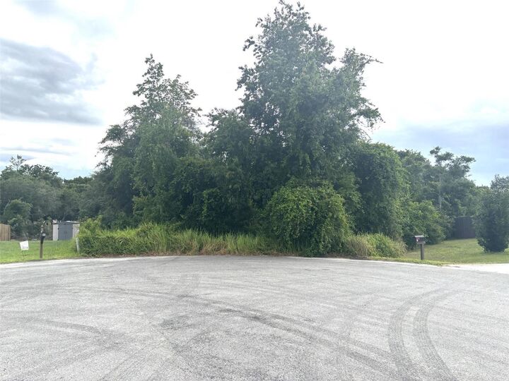 Property Photo: 0 Olive Place FL 34472
