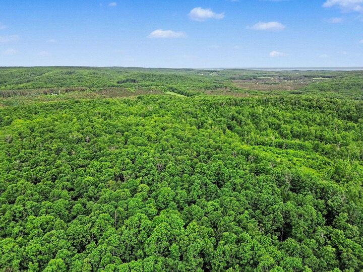 Property Photo: Vl Robinson Road MI 49740