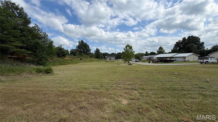 Property Photo: 00 Palm Tree Drive MO 63901