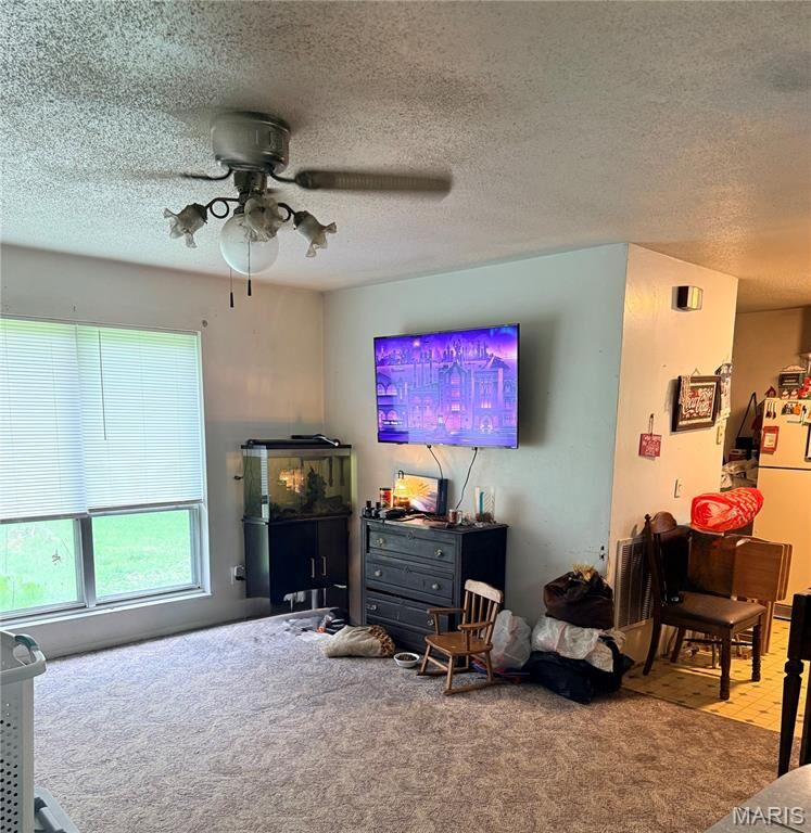 Property Photo: 1176 County Road 523 MO 63901