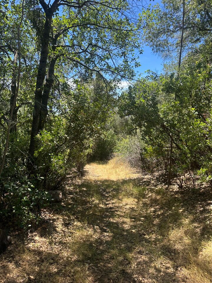 Property Photo: 0 Bowman Road CA 95665