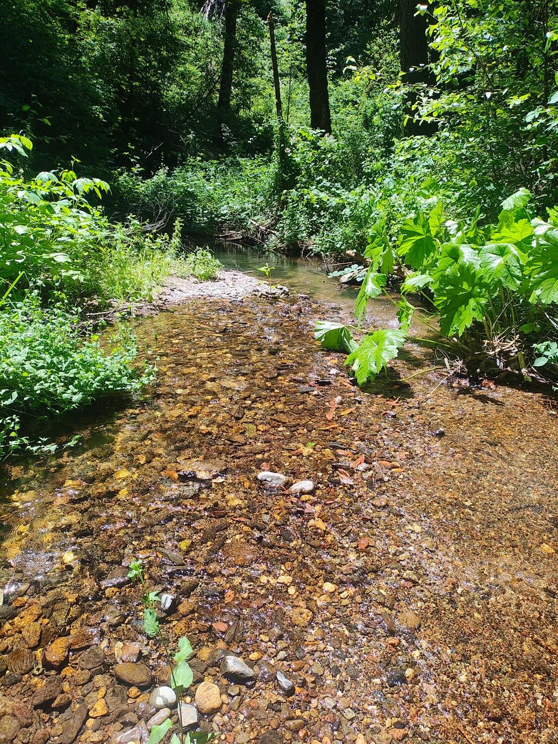 Property Photo: 18290 Backwoods Road CA 95959