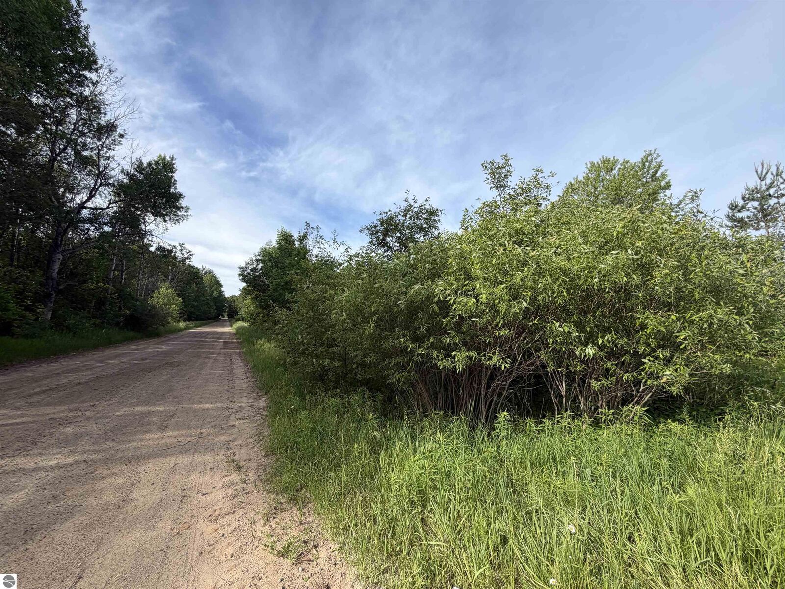 Property Photo:  9540 S McKinley Avenue  MI 48632 