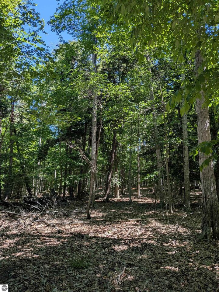 Property Photo: M-48 MI 49774