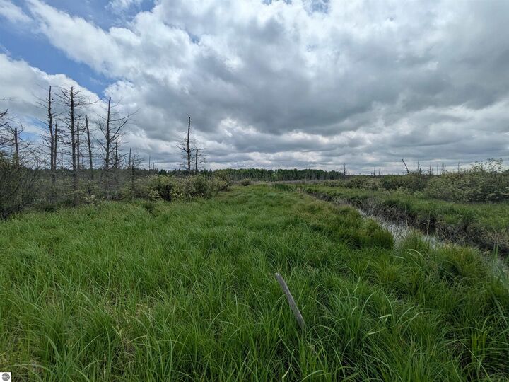 Property Photo: M-48 MI 49774