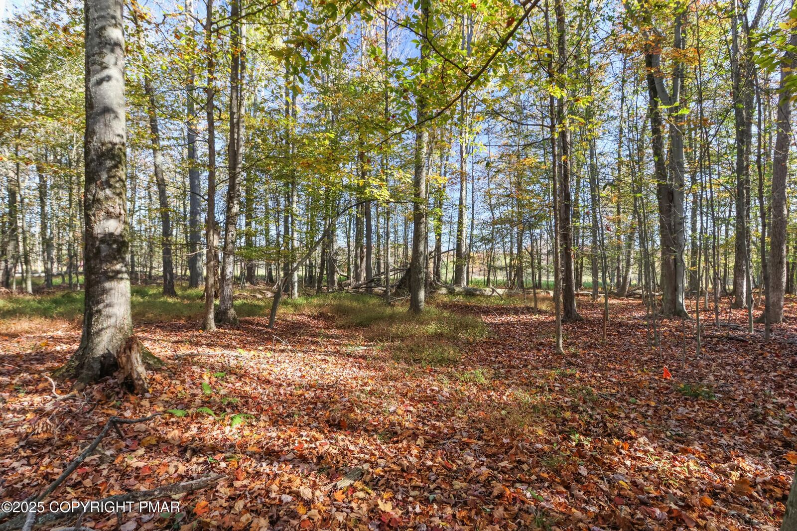 Property Photo:  Cygnus Road  PA 18436 
