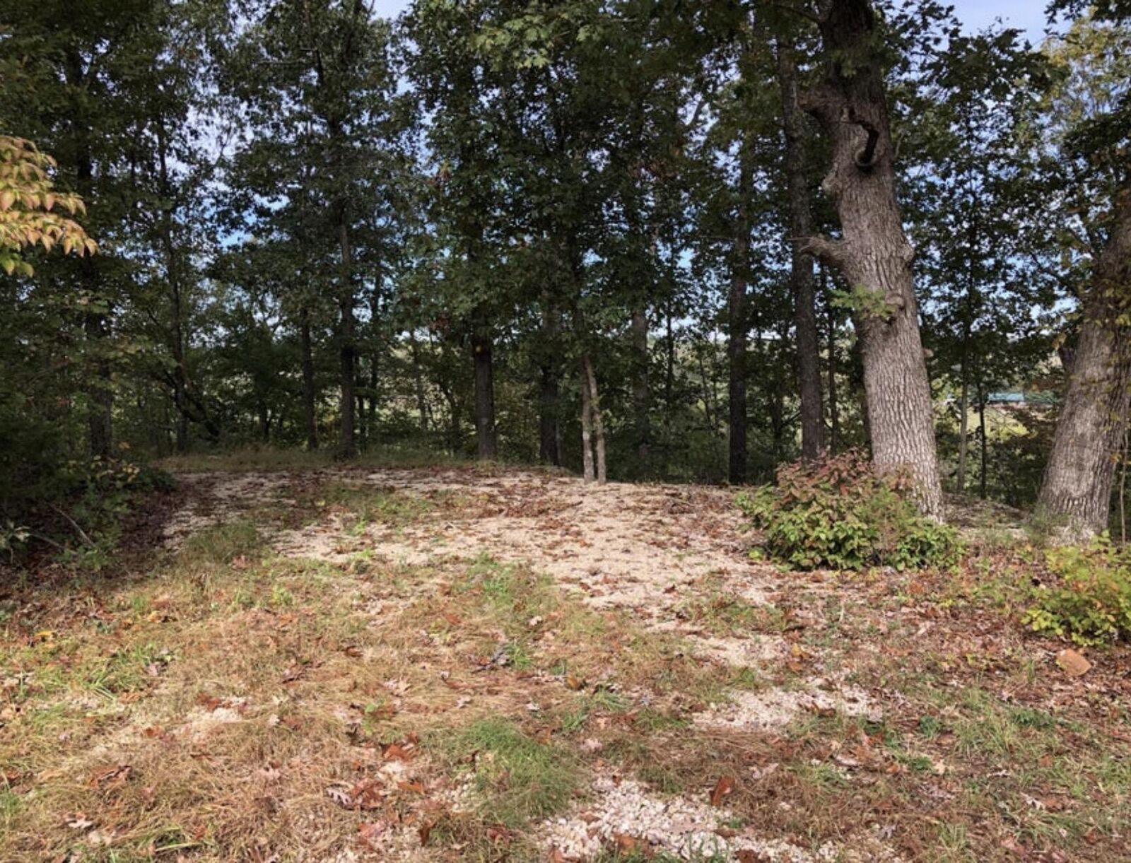Property Photo:  000 Clear Springs Trail  MO 65783 
