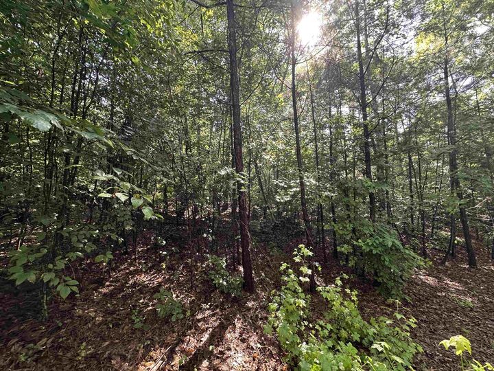 Property Photo:  Old Buncombe Road ***  SC 29379 