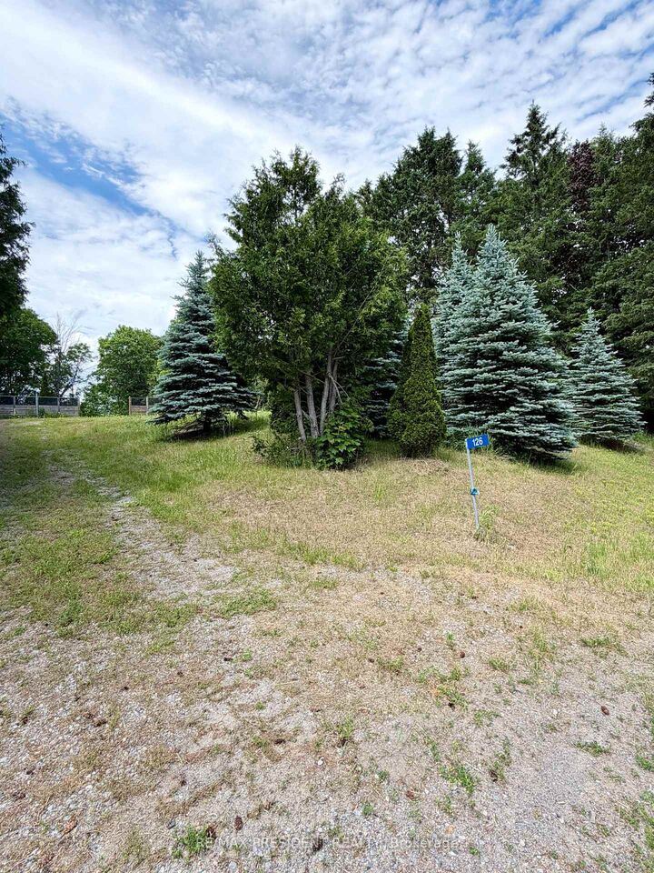 126 Mill Street — photo 1