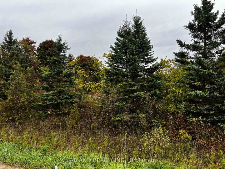 Property Photo:  257 4th Line Concession 4 SW Line  ON L9V 2C3 