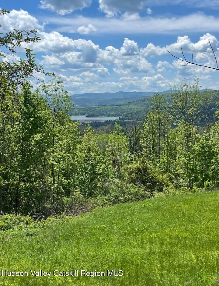 Property Photo:  127 Grassy  NY 12131 