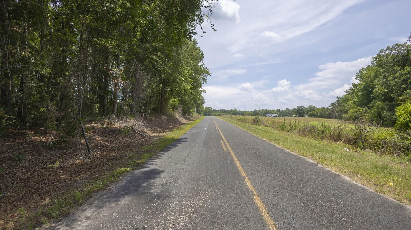 Property Photo:  1 Joseph Lemon And Dingle Road Lot 1  SC 29102 