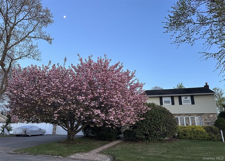 Property Photo: 185 Tree Road NY 11720